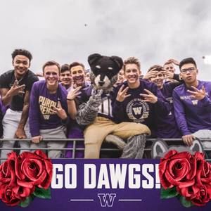 Meet your Posher, Eli